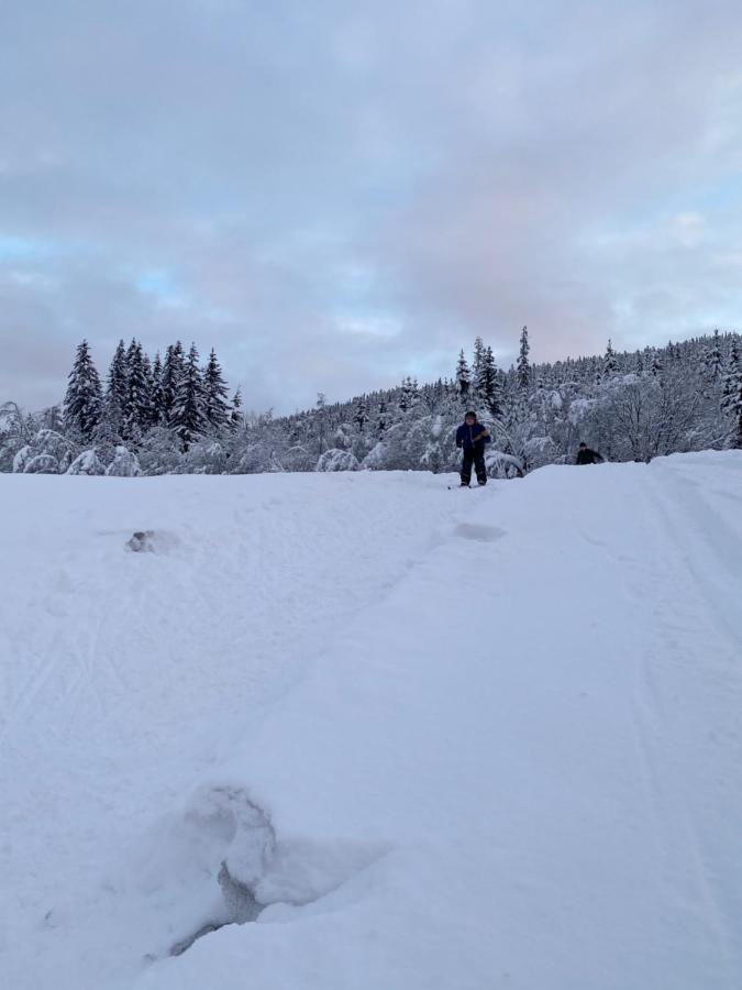 Tuddal Hyttegrend, Gamlestugu, Telemark Exterior photo